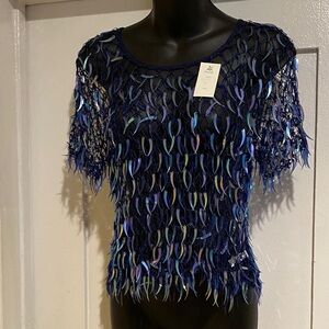 Elegant Blue Mesh Top